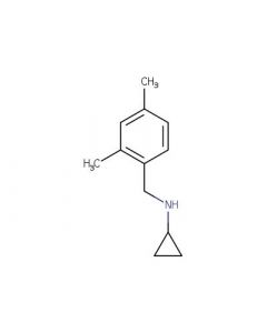 Astatech N-(2,4-DIMETHYLBENZYL)CYCLOPROPANAMINE; 1G; Purity 95%; MDL-MFCD09049653